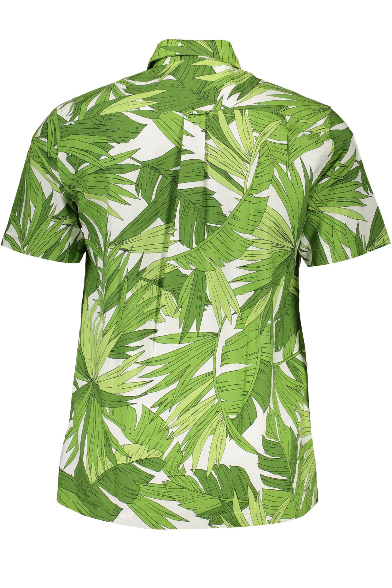 GANT CAMICIA MANICHE CORTE UOMO VERDE - Miniatura 2