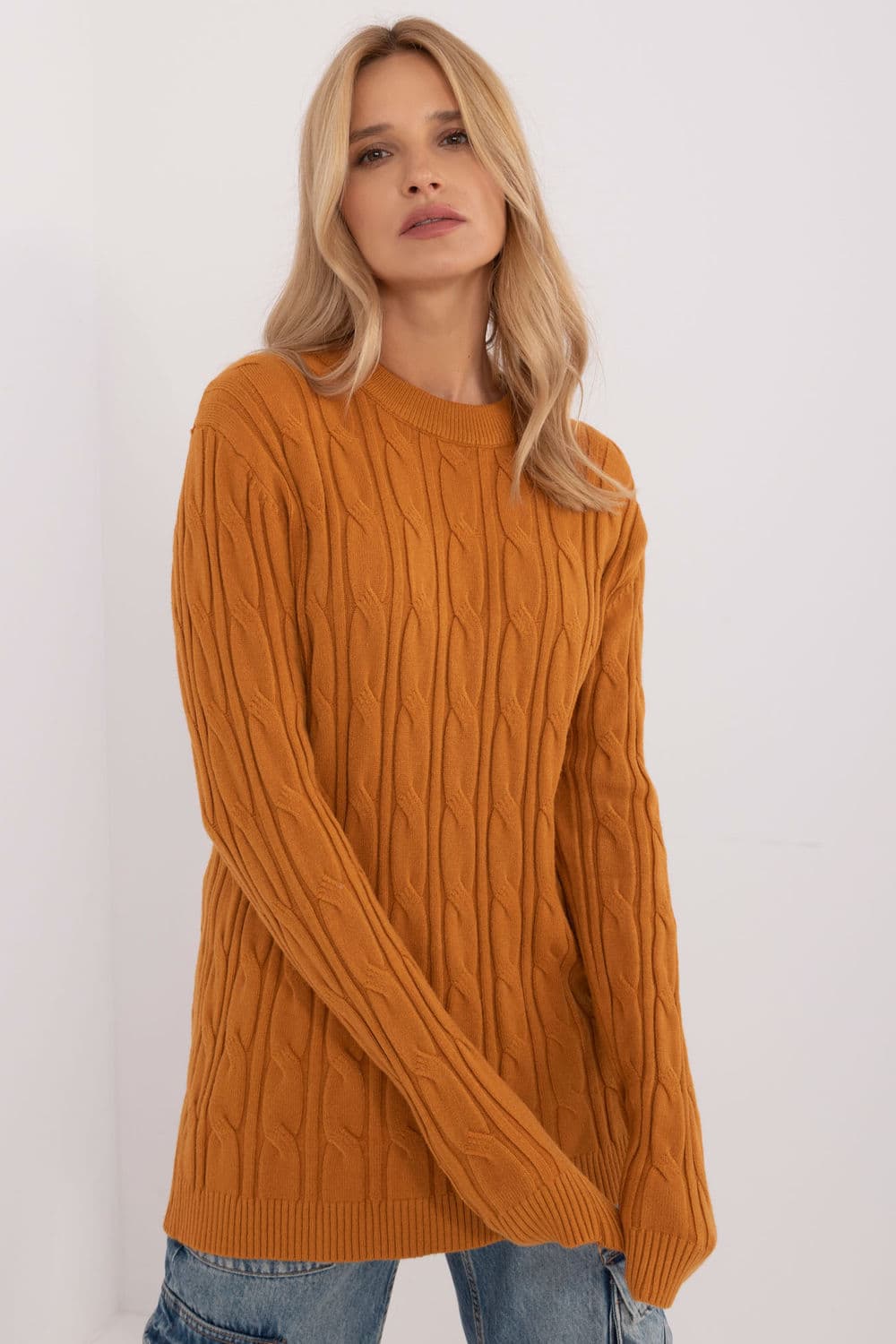 Maglione model 199530 AT