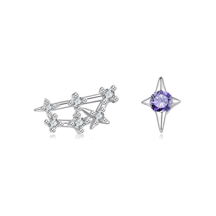 Orecchini a dodici costellazioni in argento sterling S925 con zirconi, specifica: Capricorno