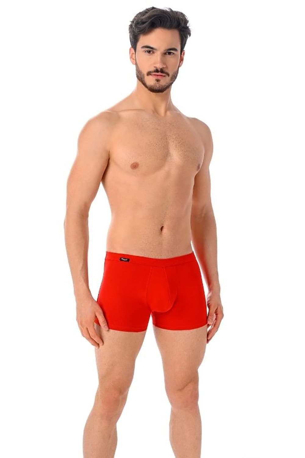 Boxer model 182976 Teyli