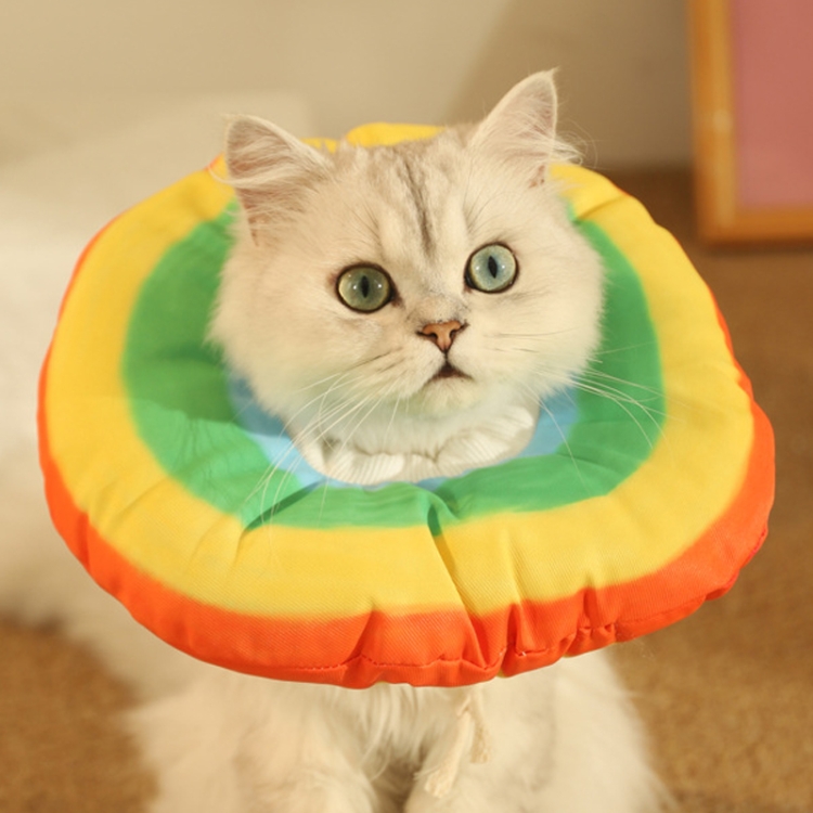 Cat Elizabeth Collar Kitten Anti-licking Collar Head Cover, Size: M(Rainbow)