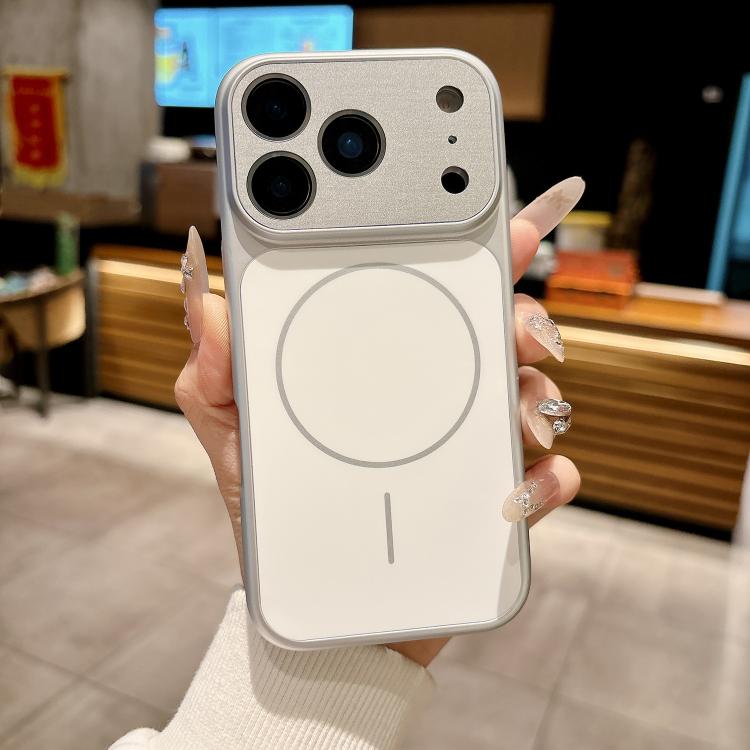For iPhone 17 Pro Dunjia Organic Silicone MagSafe Shockproof Phone Case(White)