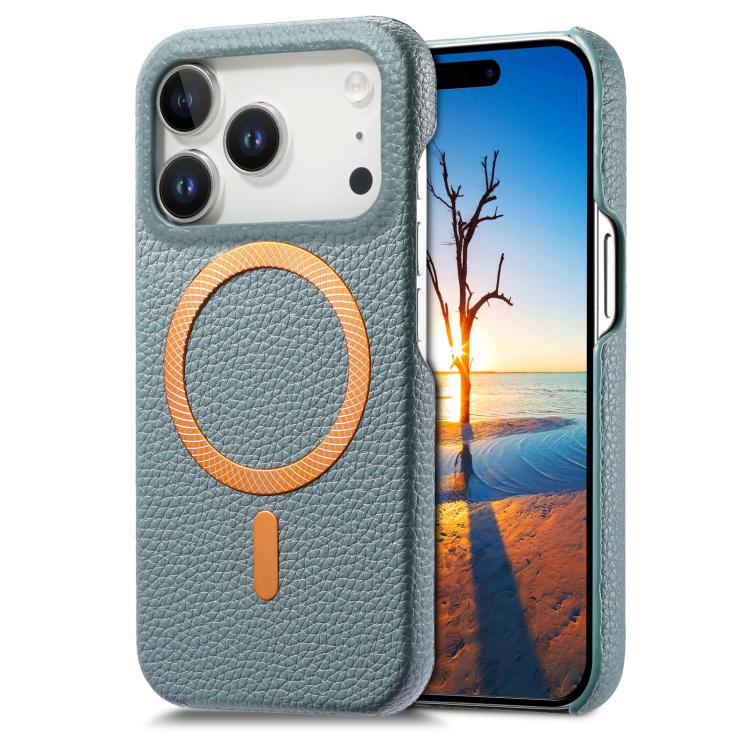 For iPhone 17 Pro Litchi Texture Brushed MagSafe PU Back Cover Phone Case(Blue)