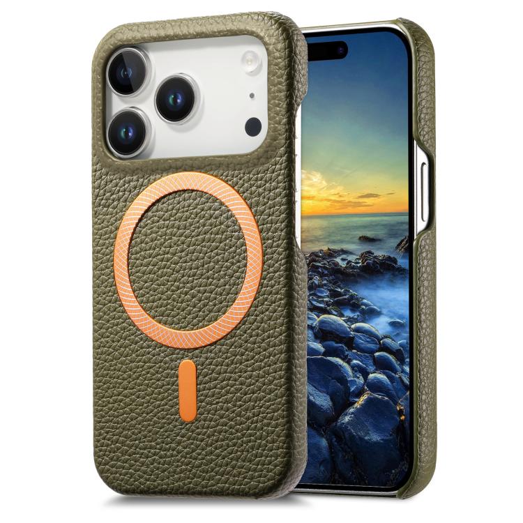 For iPhone 17 Pro Litchi Texture Brushed MagSafe PU Back Cover Phone Case(Green)