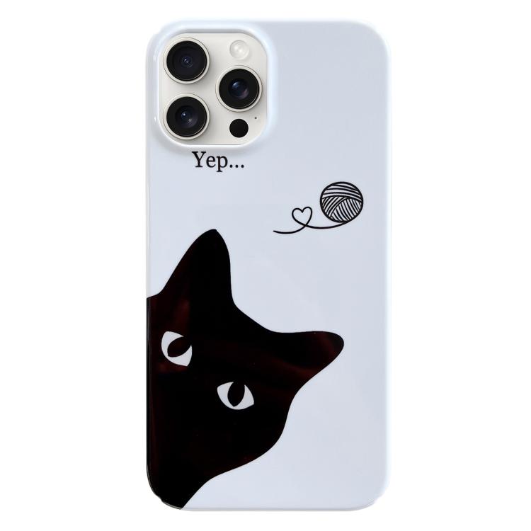For iPhone 17 Pro Painted Pattern PC Phone Case(Black Cat)