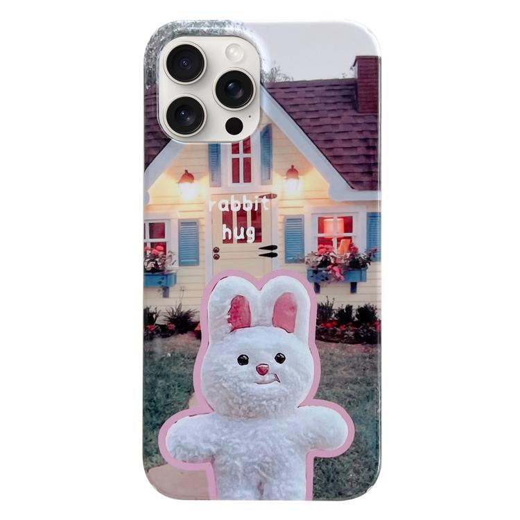 For iPhone 17 Pro Painted Pattern PC Phone Case(Bunny Hug)