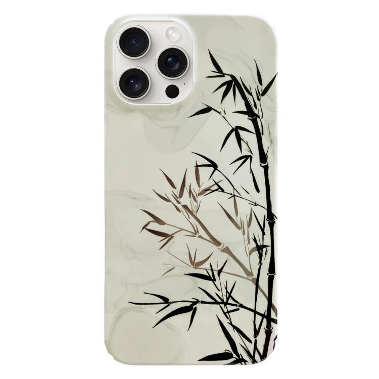 For iPhone 17 Pro Painted Pattern PC Phone Case(Ink Painting)