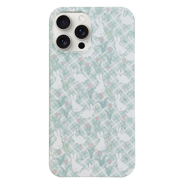 For iPhone 17 Pro Painted Pattern PC Phone Case(Tulip Bunny)