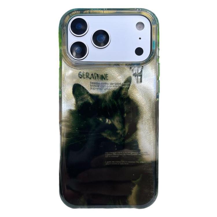 For iPhone 17 Pro Rounded Edge IMD Pattern TPU Phone Case(Black Cat)