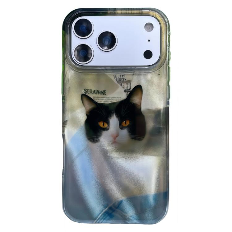 For iPhone 17 Pro Rounded Edge IMD Pattern TPU Phone Case(Sky Blue Cat)