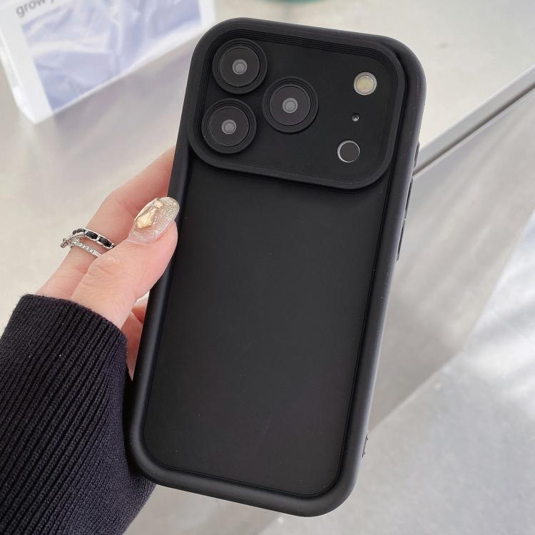 For iPhone 17 Pro Shockproof Frame Frosted Precise Hole TPU Phone Case(Black)