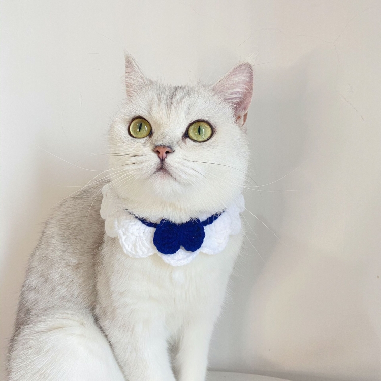 Handmade Woolen Knitting Adjustable Flower Bow Knot Cat Dog Bib Accessories Collar, Size:S 20-28cm(White)