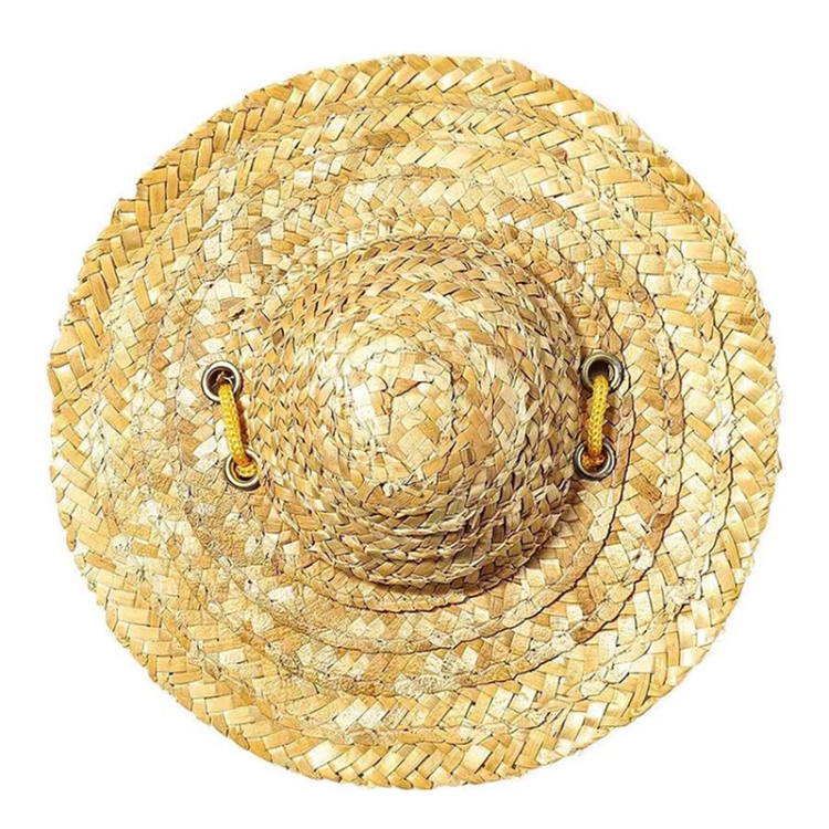 Mini Pet Straw Hat Cat Dog Birthday Party Sun Visor Hat, Size: L 16cm