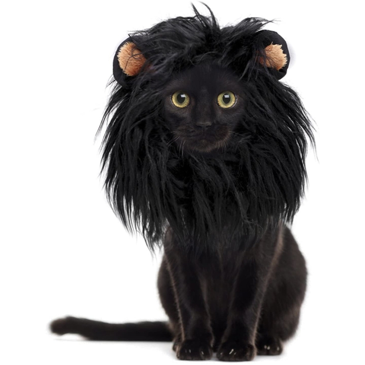 Pet Dog Cat Imitation Lion Headgear Headdress Wig Hat, Size: L
