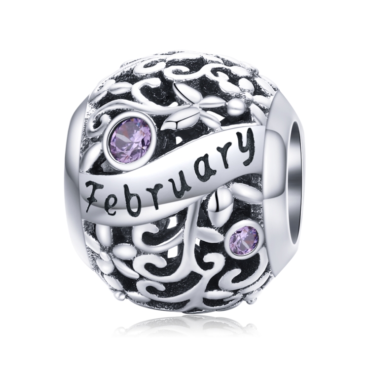 S925 Sterling Silver 12 Birthstone DIY Bracelet Necklace Accessories, Style:February