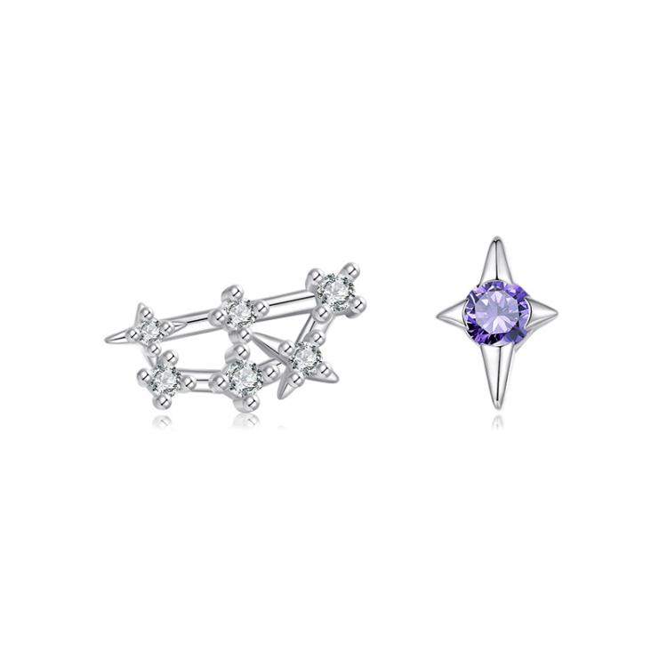 S925 Sterling Silver Inlaid Zircon Twelve Constellation Earrings, Spec: Capricorn
